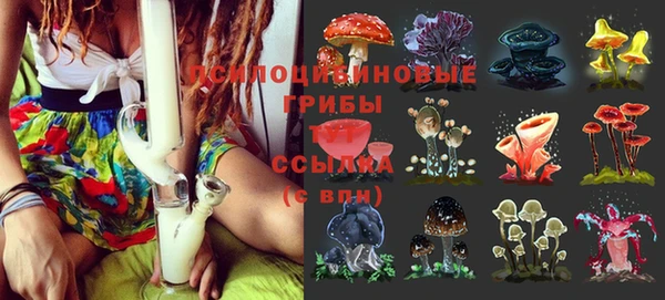 спиды Белокуриха