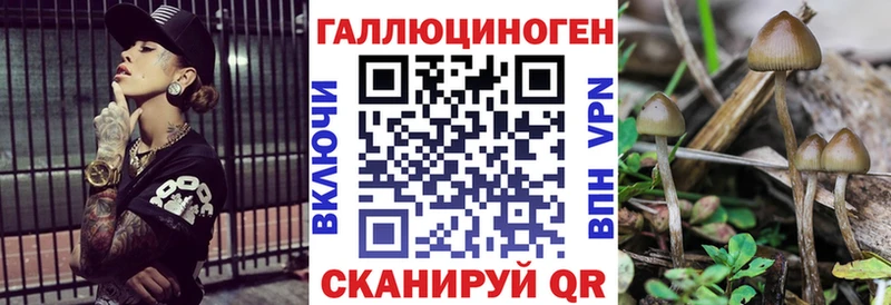 Галлюциногенные грибы мухоморы  Купить  Рославль 